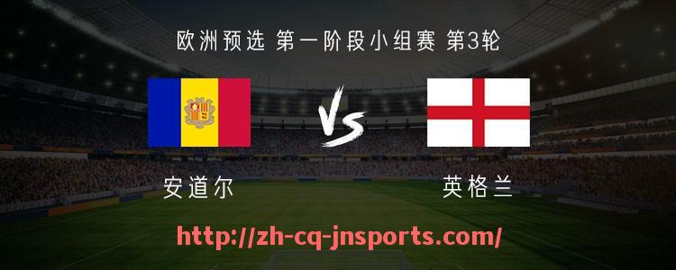JN江南体育-德甲球队球迷人数最新统计与支持度排行榜