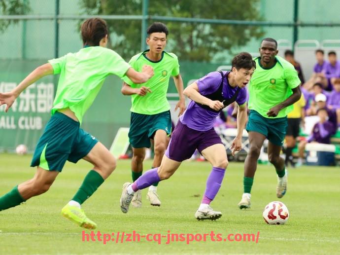 JN江南体育-2024年法甲外援职业生涯分析及未来发展预测报告