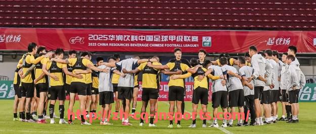 JN江南体育-法甲球队全面比赛数据统计及赛季表现评估