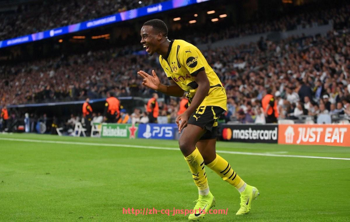 JN江南体育-世俱杯环保志愿者团队设置方案及志愿服务管理